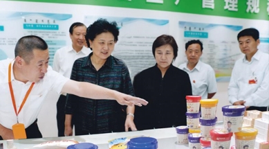 原中共中央政治局委員、國(guó)務(wù)院副總理劉延?xùn)|視察我公司